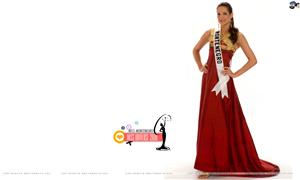 Miss Universe 2008